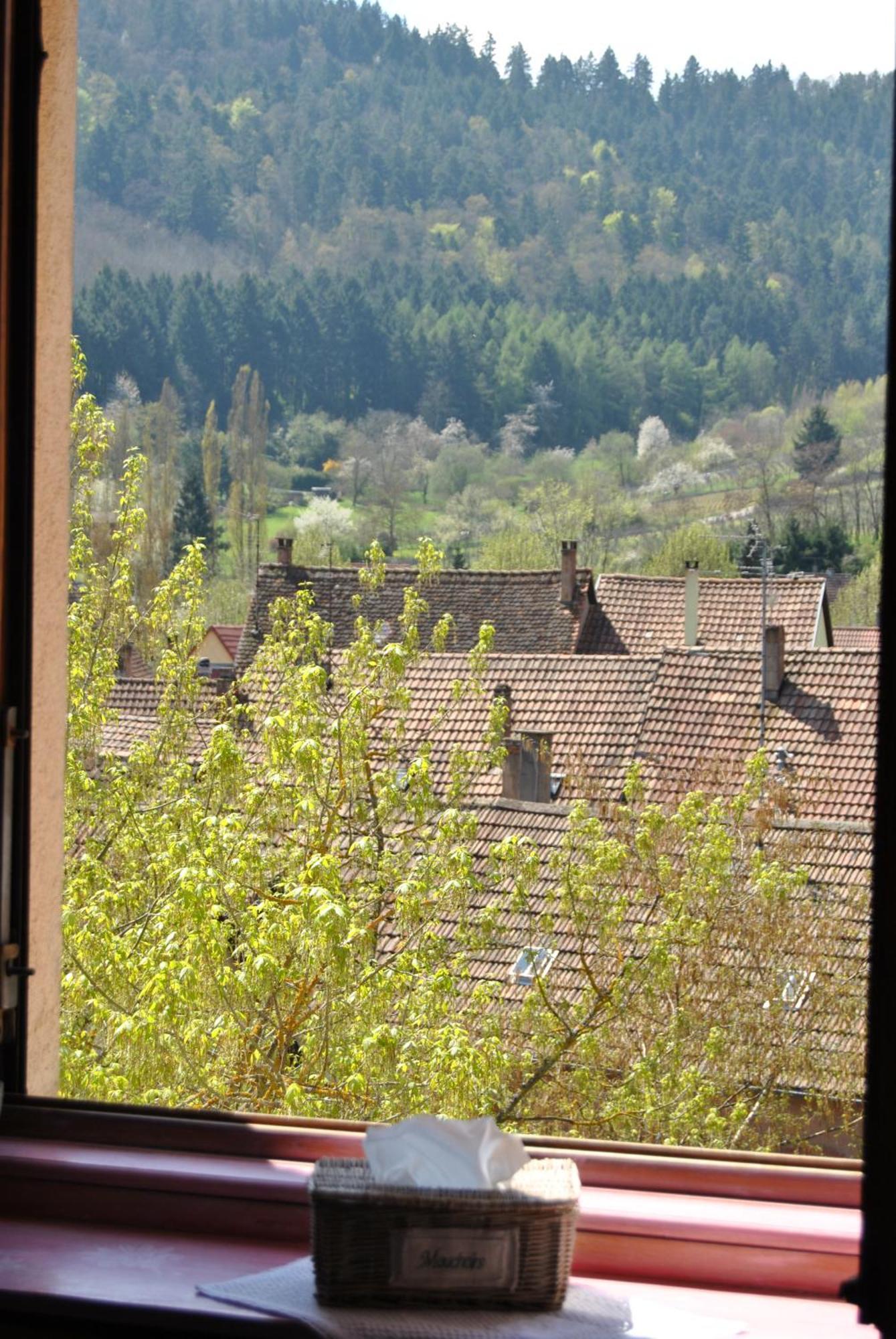 Appartements & Chambres Les Loges Du Capucin Kaysersberg-Vignoble Exterior foto